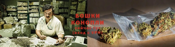 спайс Инсар