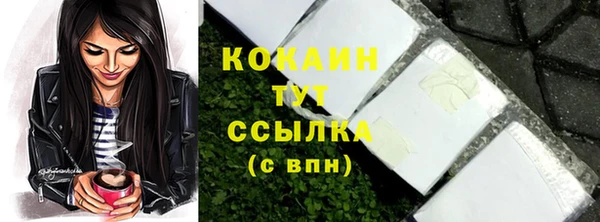 спайс Инсар