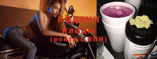 шишки Иннополис