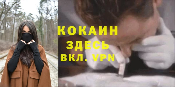 шишки Иннополис