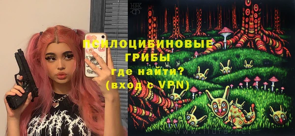 бутират Инта