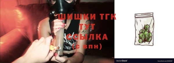 спайс Инсар