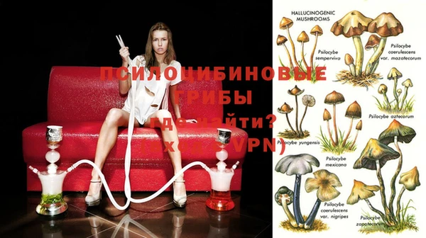бутират Инта