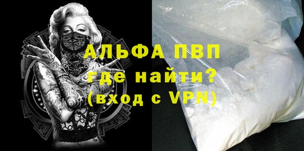шишки Иннополис