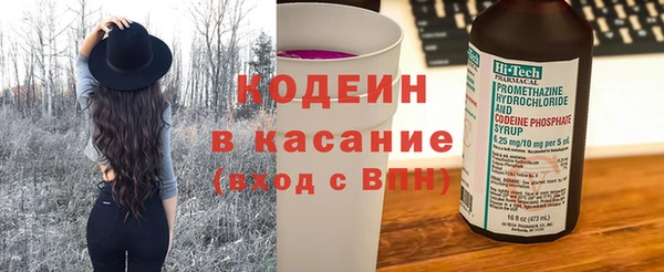 шишки Иннополис