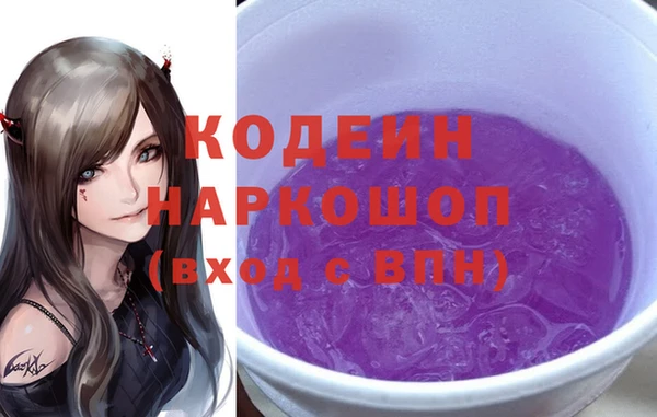 шишки Иннополис