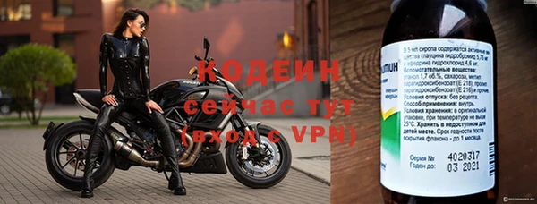 шишки Иннополис