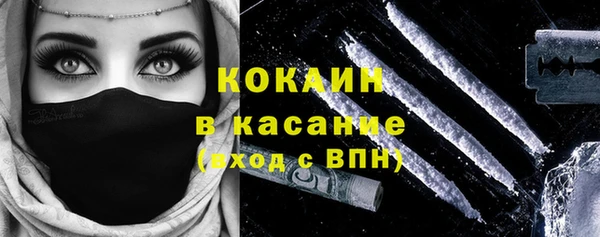 шишки Иннополис