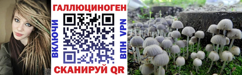 Галлюциногенные грибы Magic Shrooms  наркота  Арзамас 