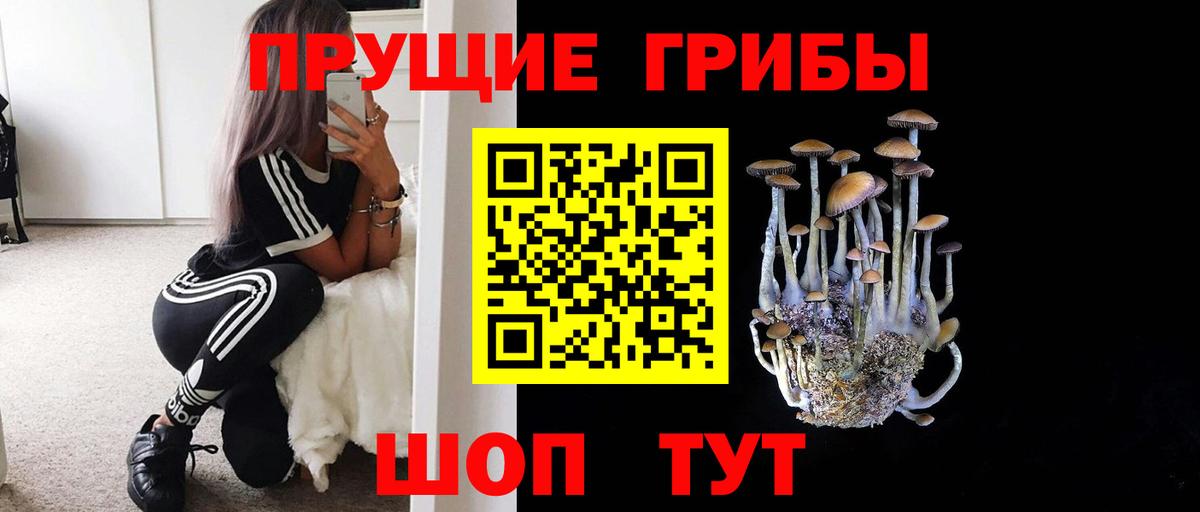 Галлюциногенные грибы мицелий  Галлюциногенные грибы Psilocybe  Вход с VPN  Арзамас 